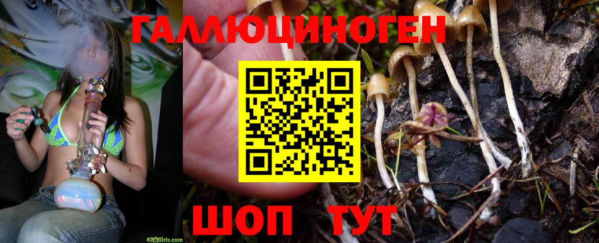 дарнет шоп  Галлюциногенные грибы Psilocybine cubensis  Вход с VPN  Псилоцибиновые грибы Psilocybine cubensis  Туймазы 